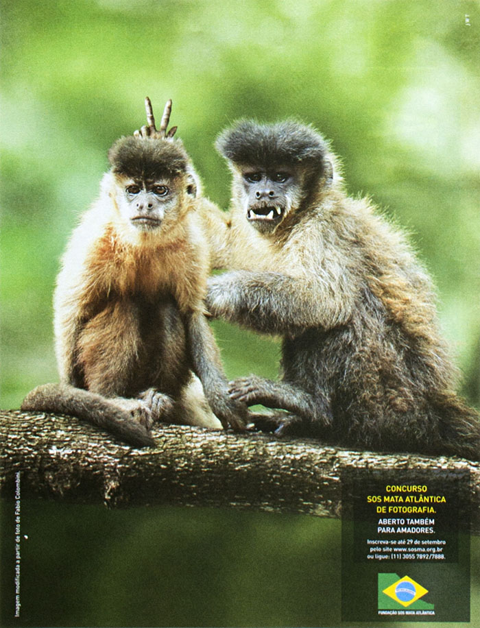 S.O.S. Mata Atlântica